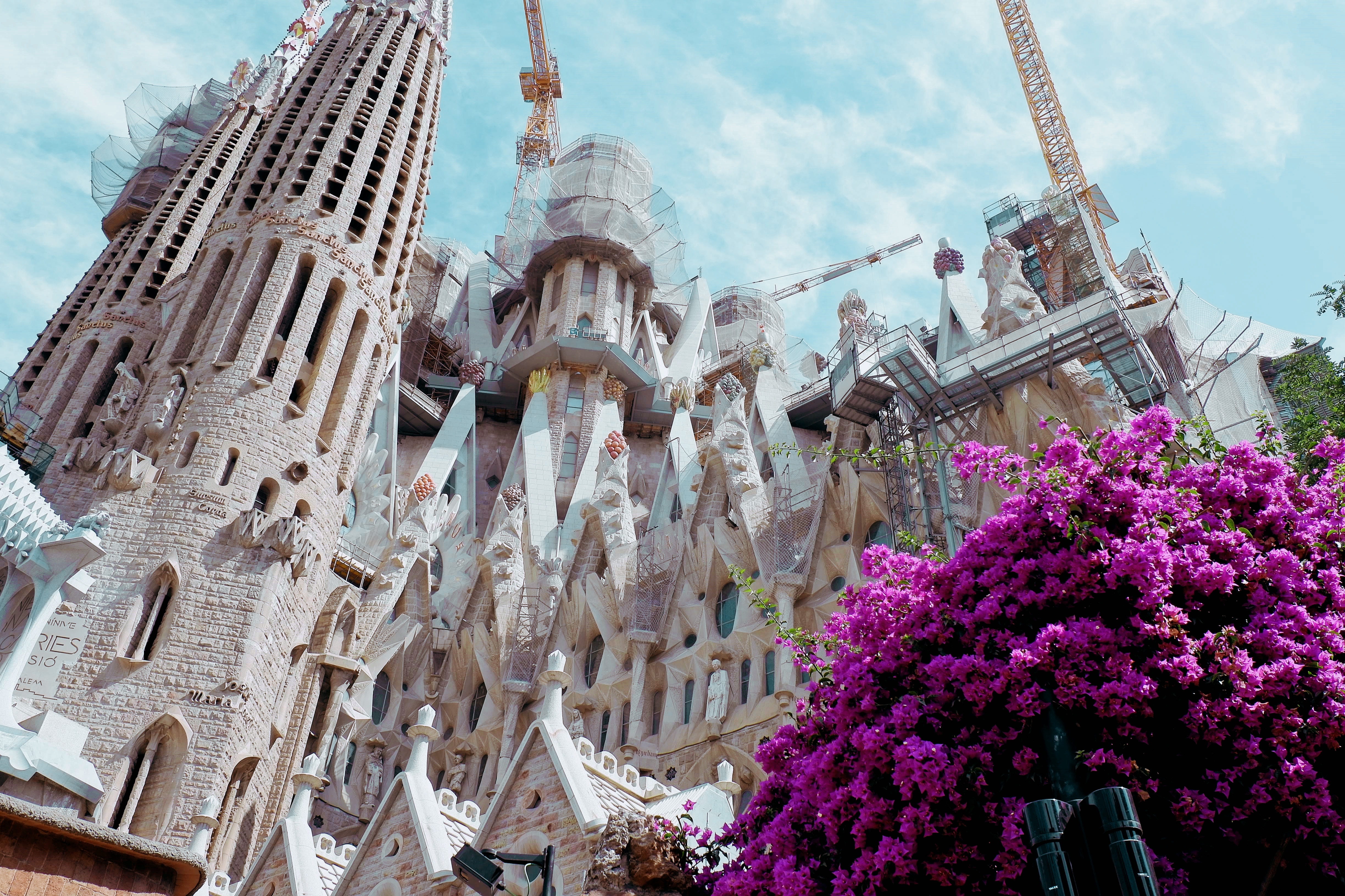 ESBCN - Barcelona - Sagrada Familia - Isaac D.jpg